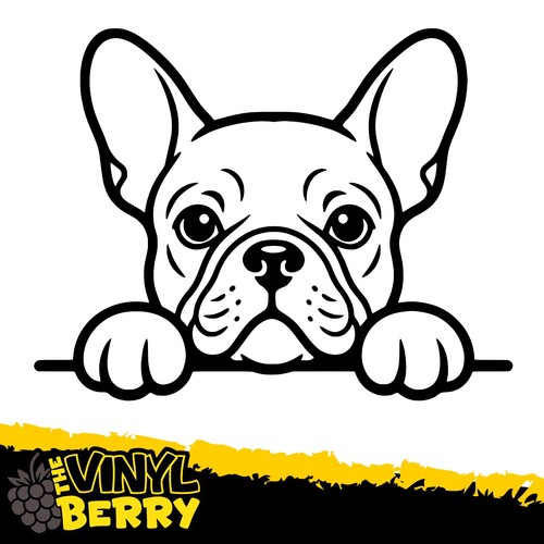 Cute french bulldog peeking - bulldog,