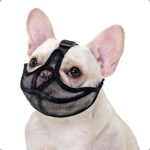 Dog muzzle for french - for, bulldog