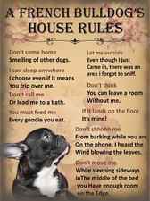 Funny Pet Dog House Rules