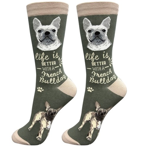 French bulldog frenchie - bulldog,