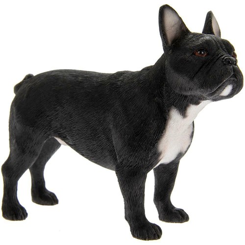 Best breed dog standing - breed,