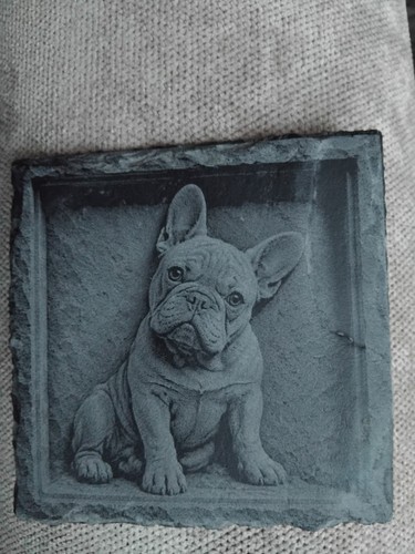 French bulldog slate - on,