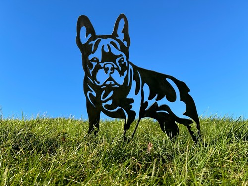French bulldog frenchie - french, metal