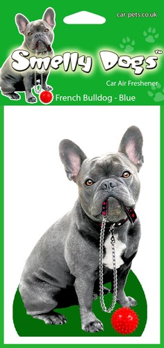French bulldog blue - french, lovers