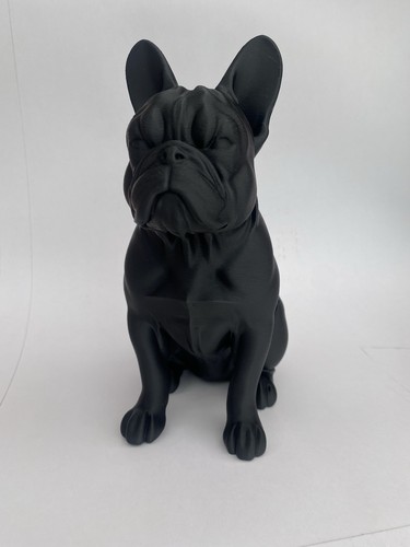 Printed french bulldog - printed,