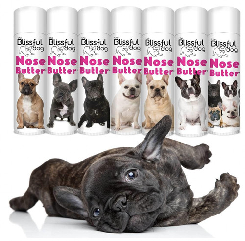 French bulldog blissful dog - french,