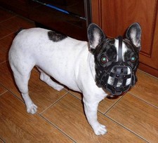 Leather Dog Muzzle | French