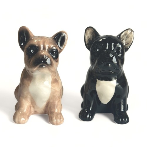 French bulldog black fawn - french,