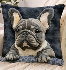 1 X Beautiful French Bulldog