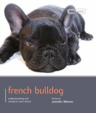 French Bulldog: Dog Expert By
