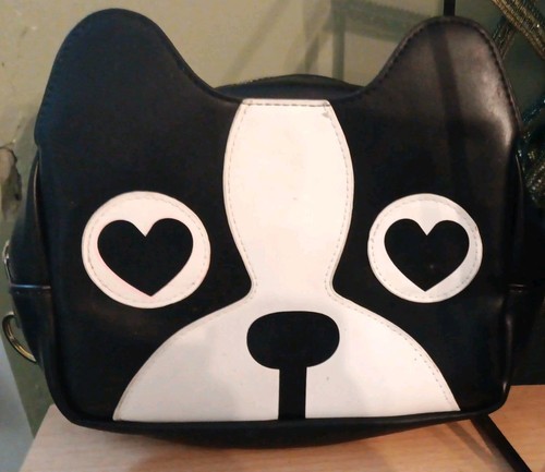 Boston terrier dog - boston,