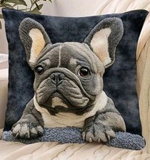 1 X Beautiful French Bulldog