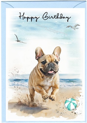 French bulldog frenchie - /, (4"x