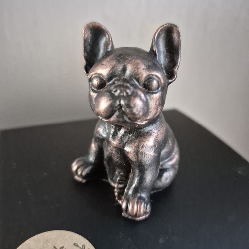 French bulldog frenchie - french,