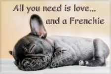 French Bulldog Pet Dog funny