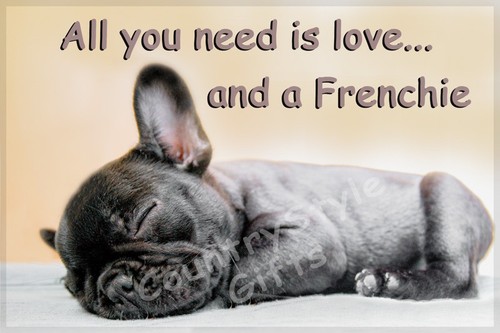 French bulldog pet dog funny - french,