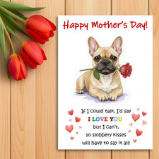 French Bulldog – Frenchie