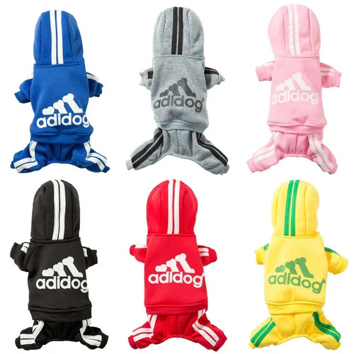 Pet clothes french bulldog - pet,